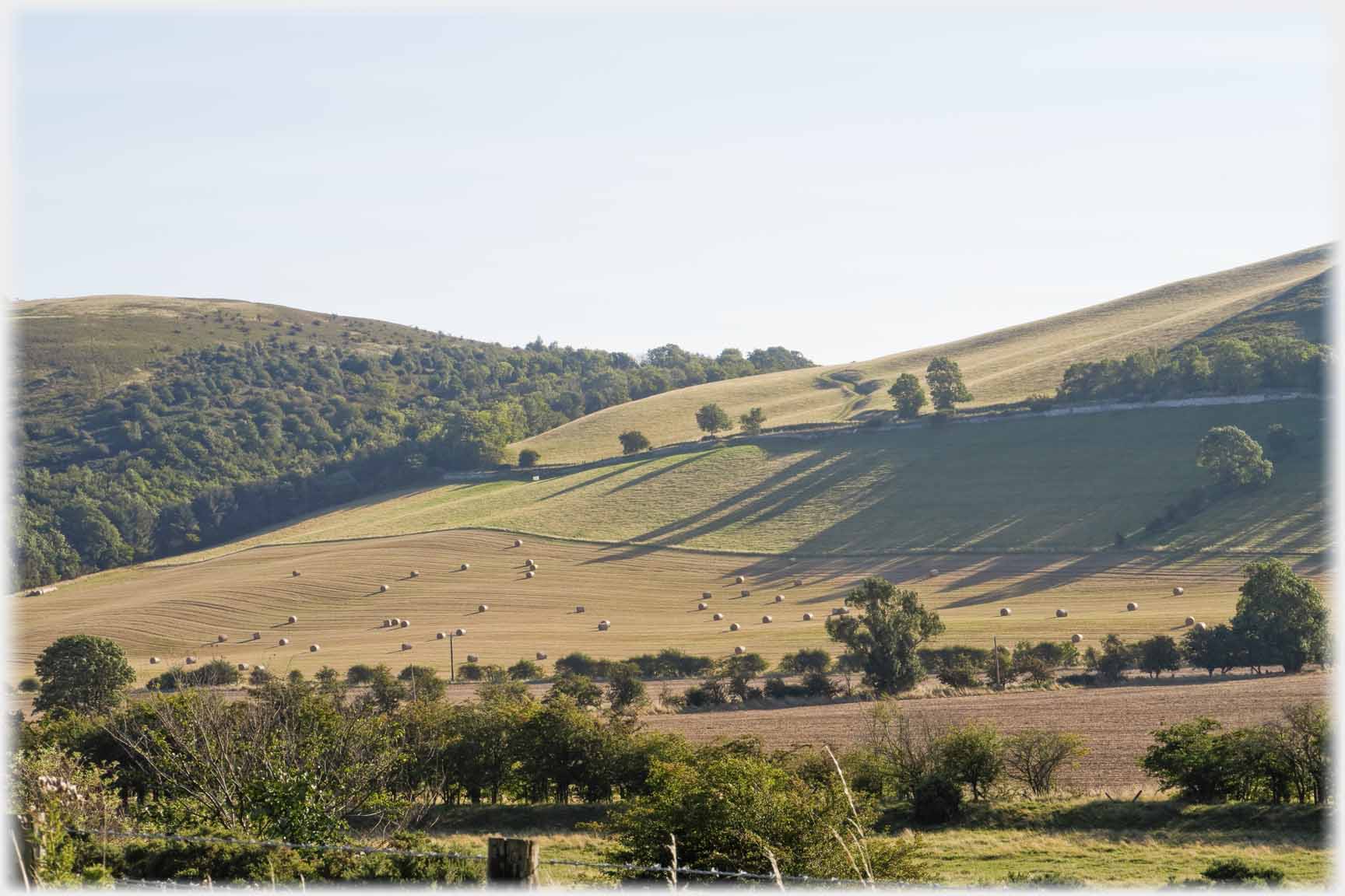 Shadows cast down across field with bales.