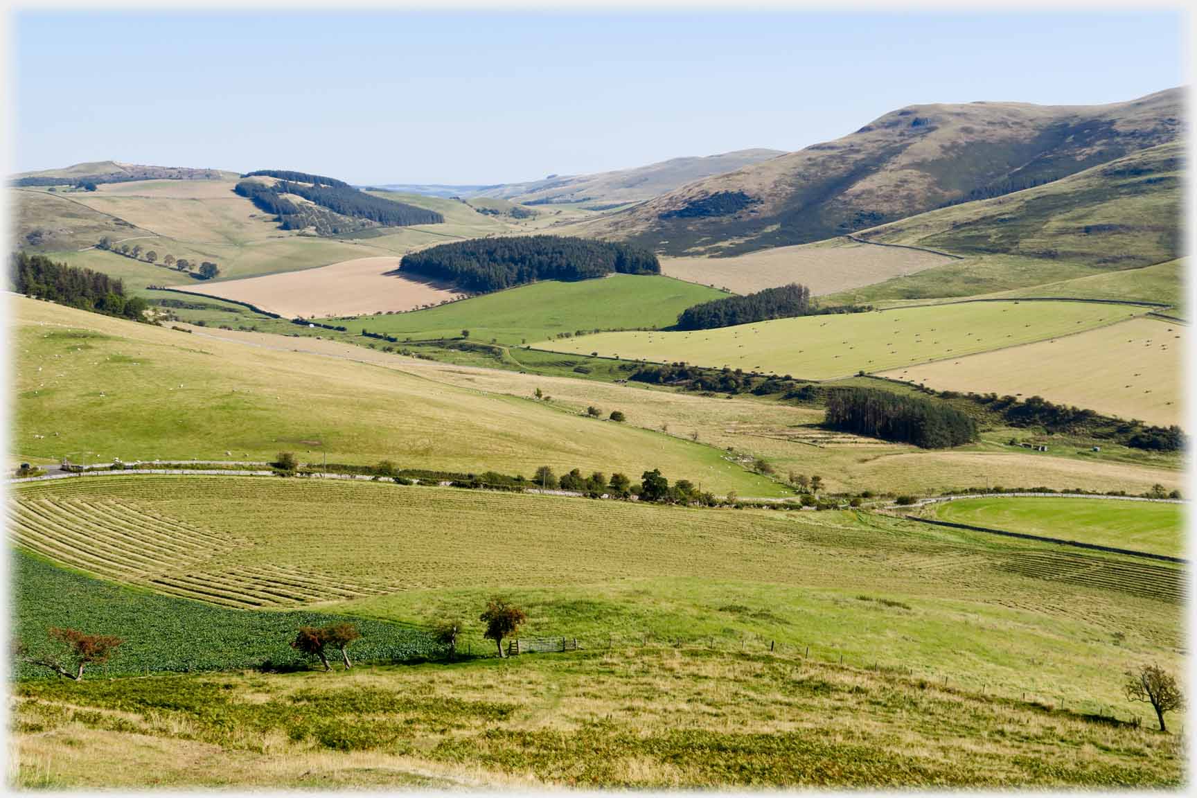 Open valley of fields with rough ground higher up all round.