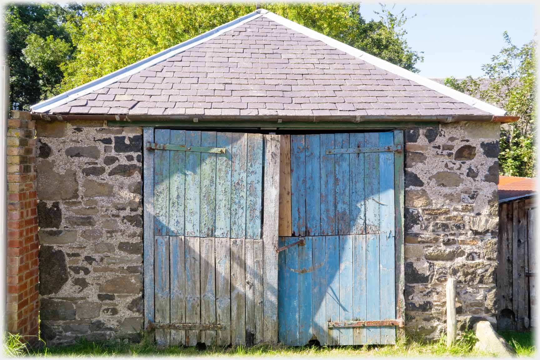 Barn with two big flaking blue doors.