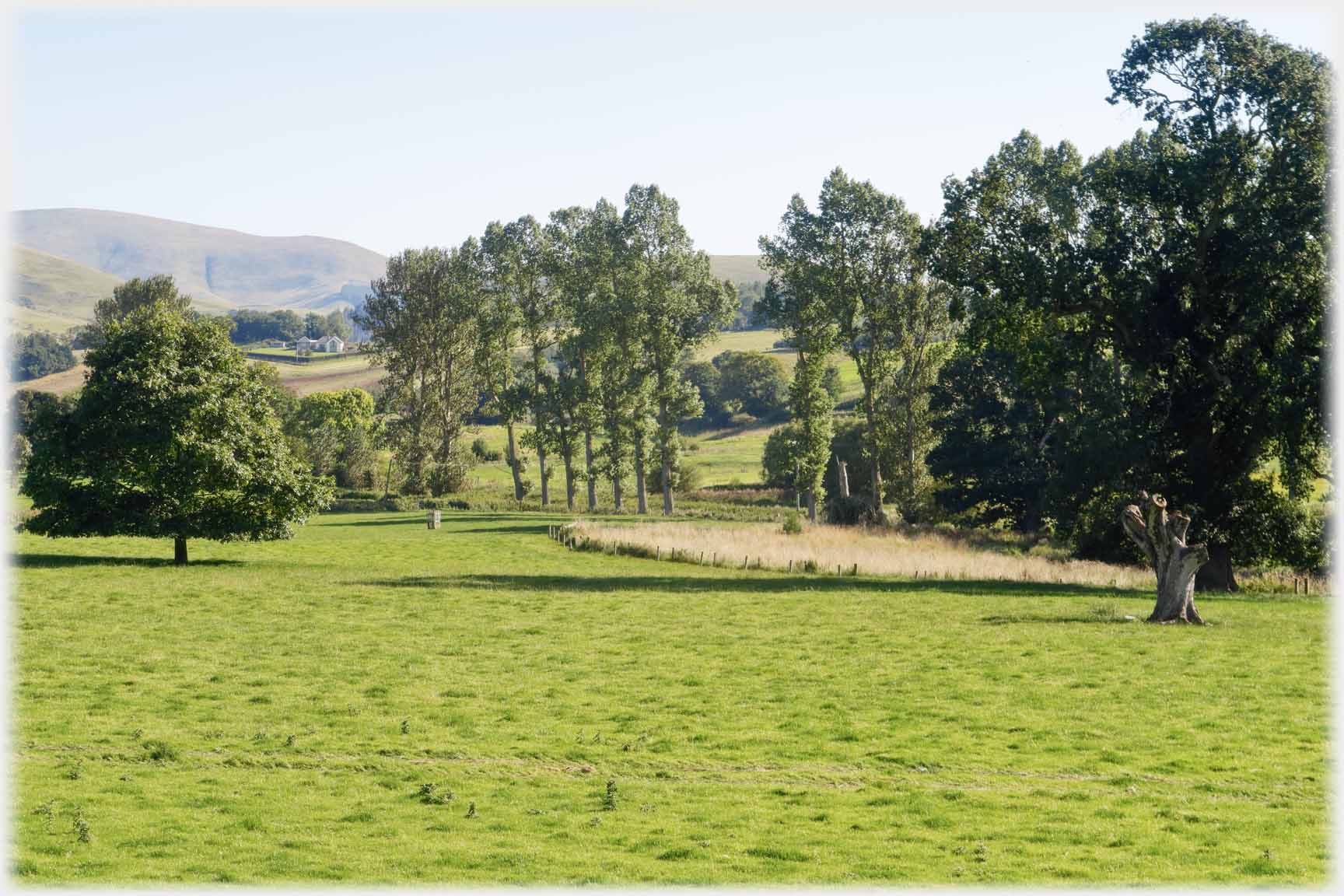 Field with trees and hills beyond.