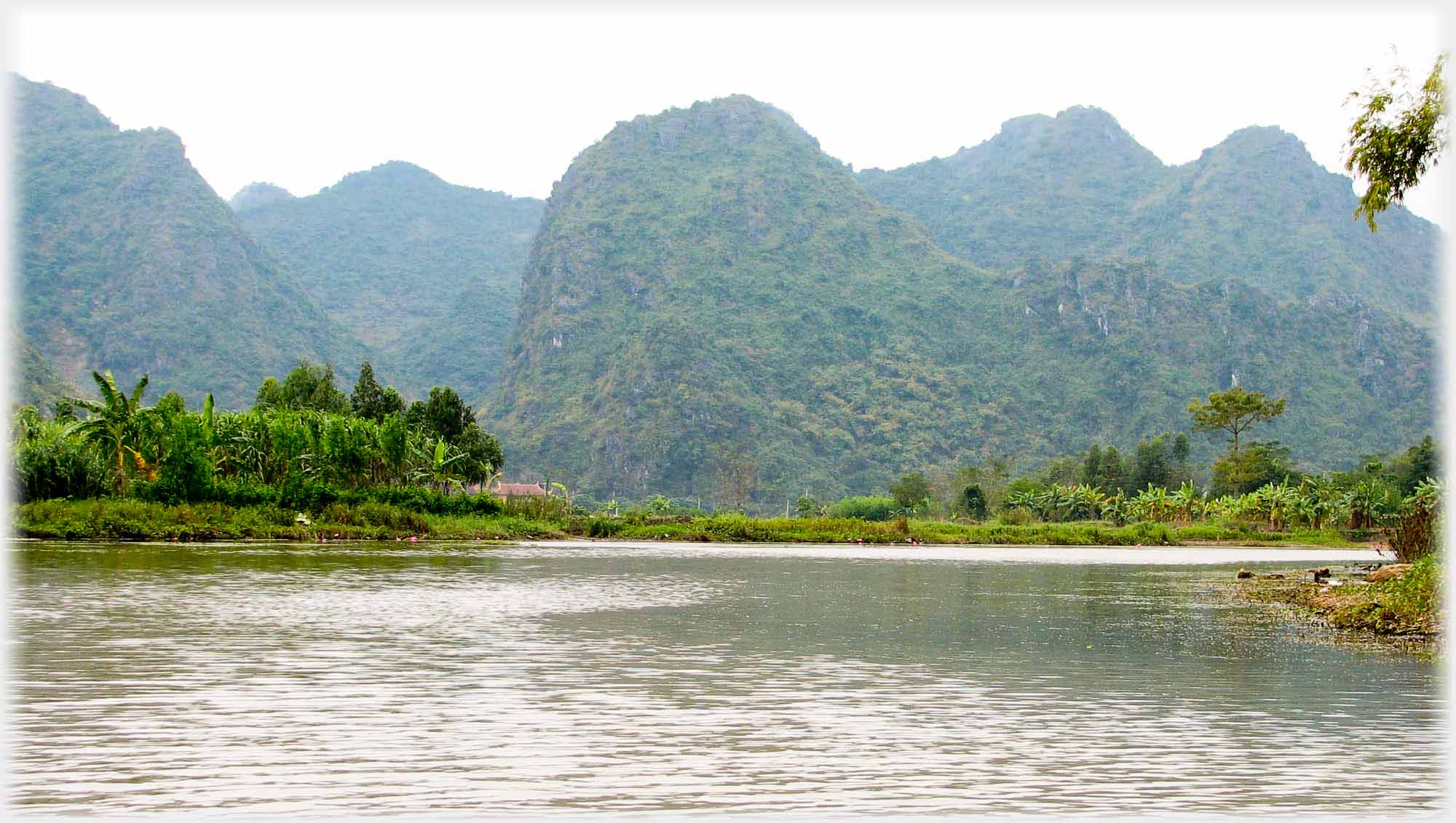 River with treed karsts.