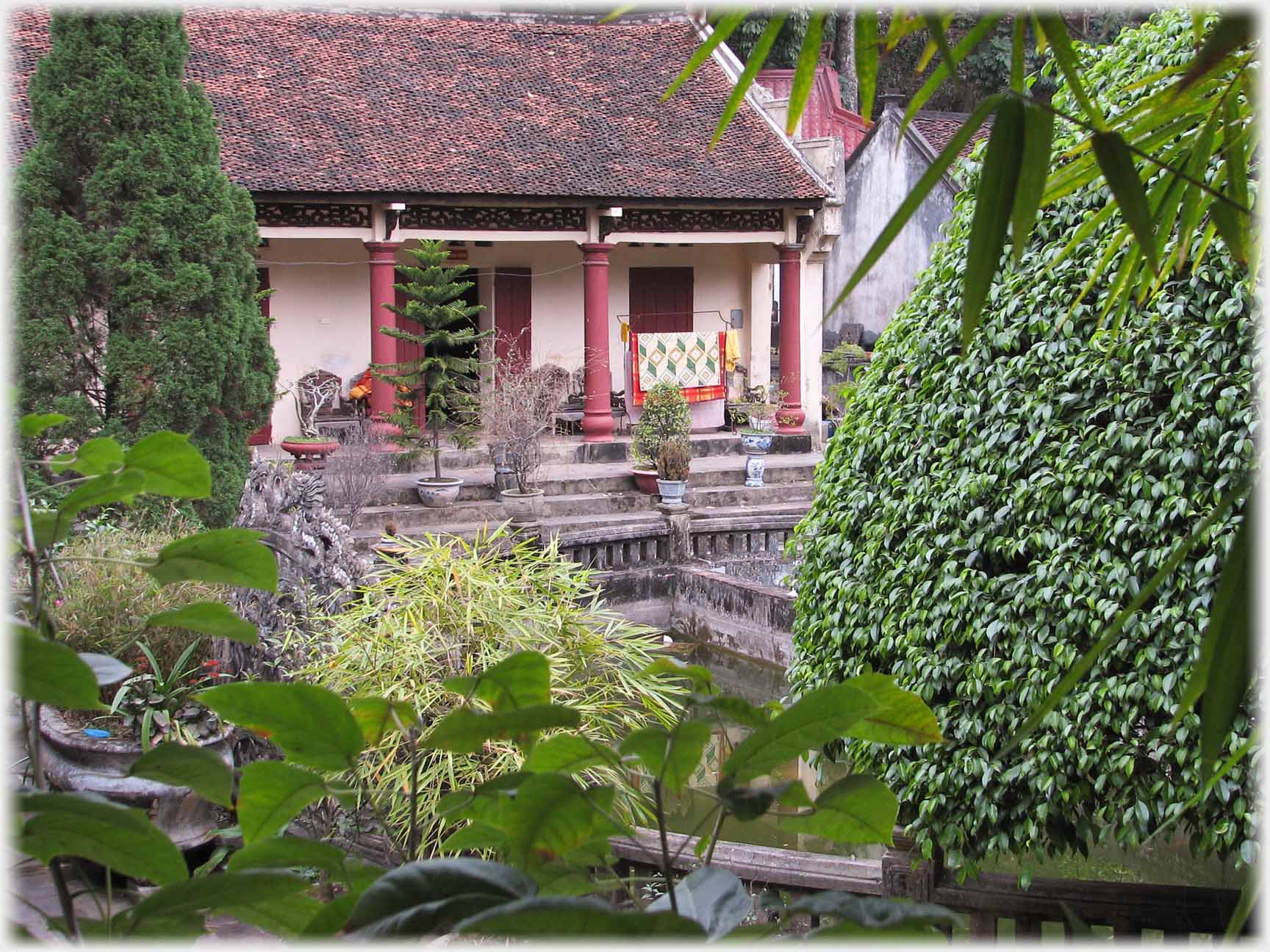 Veranda of house with plants and garden.