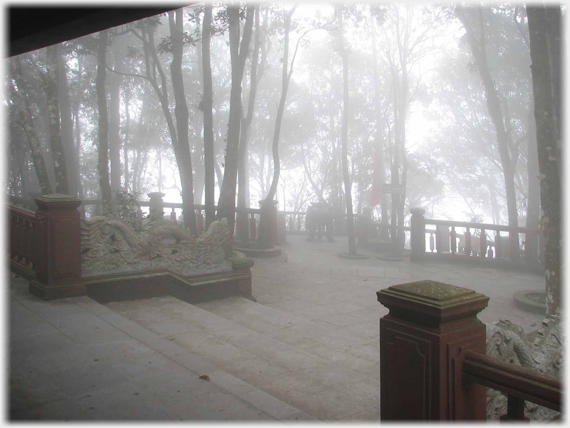 Looking out onto balcony aera with trees in mist.