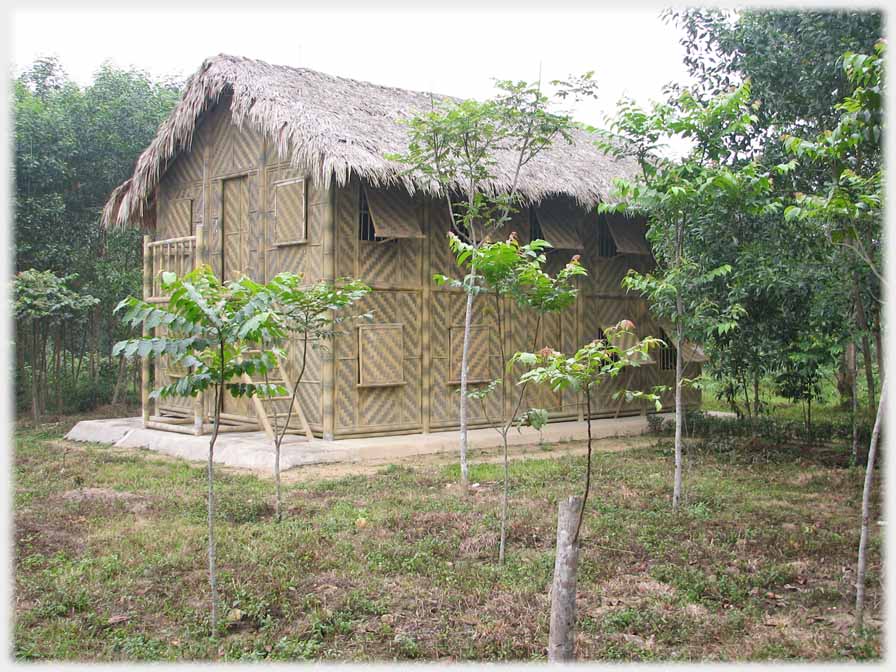 Two story thatched building with camoflaged patterned walls.