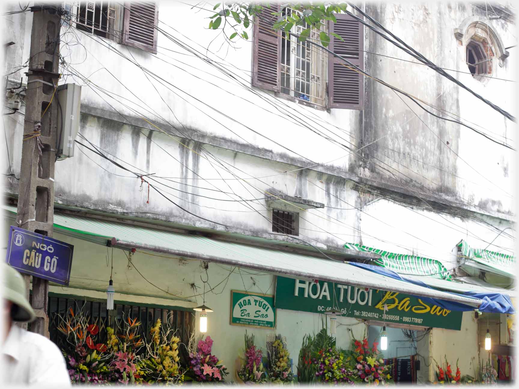 Building above flower shop with various windows.