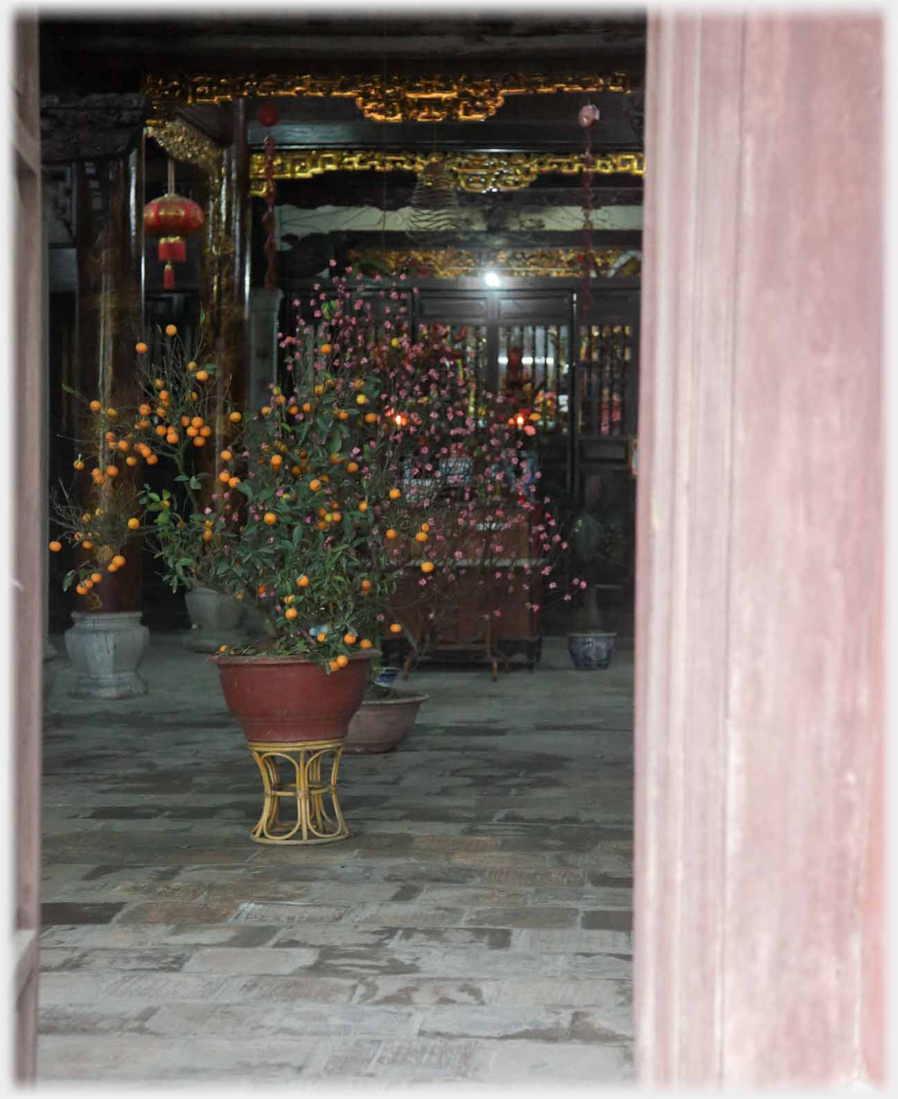 Looking in open door to paved room with tree and guilded ceiling.