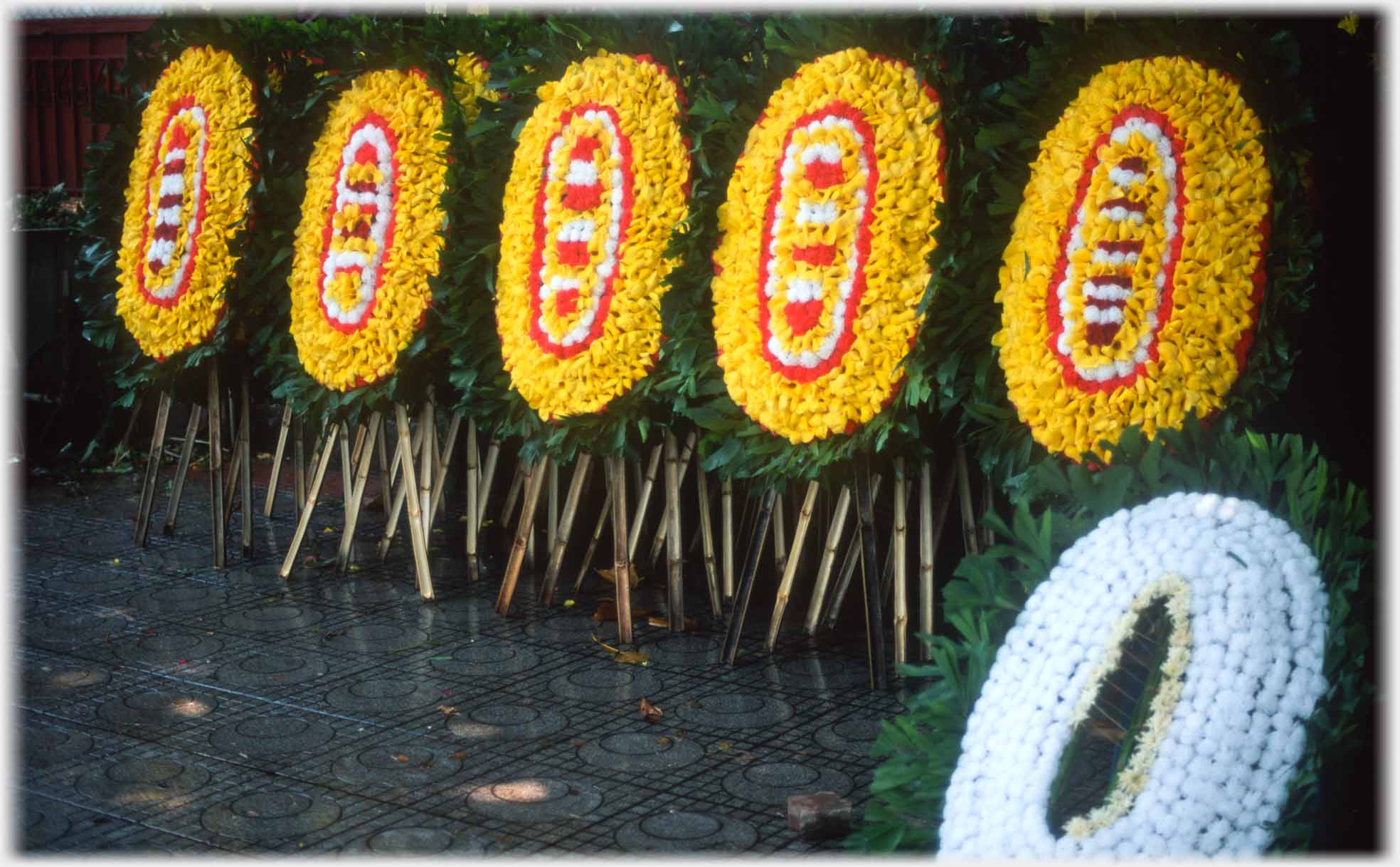 Row of five yellow wreaths on tripods, and one white wreath standing in front.