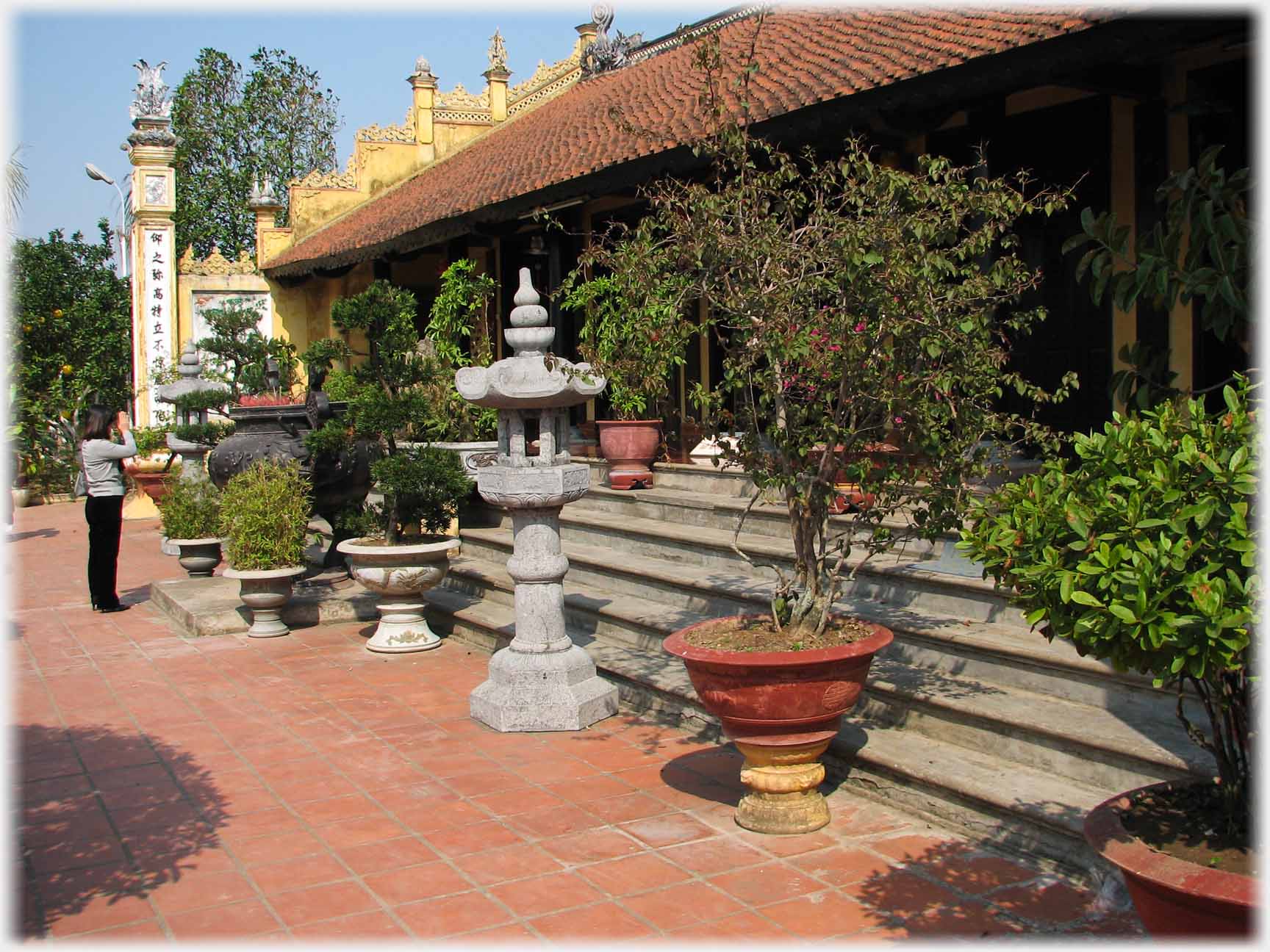 Long fronted building with five steps running length, and plants and trees in pots on steps.