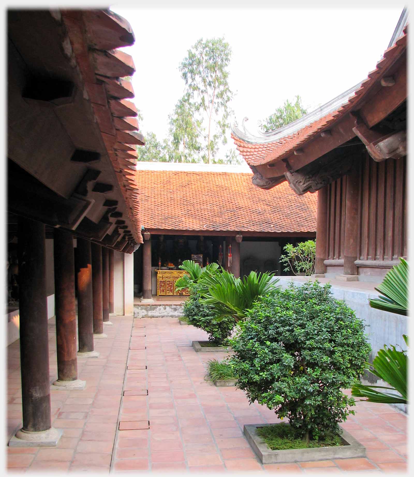 Courtyard with central shrubs, colonnade to one side and building to other side