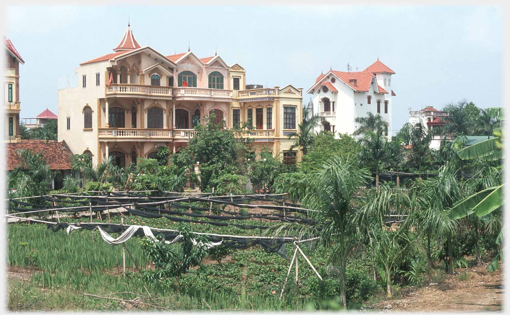 Gardens with fruit cages, row of oche houses, white separate house.