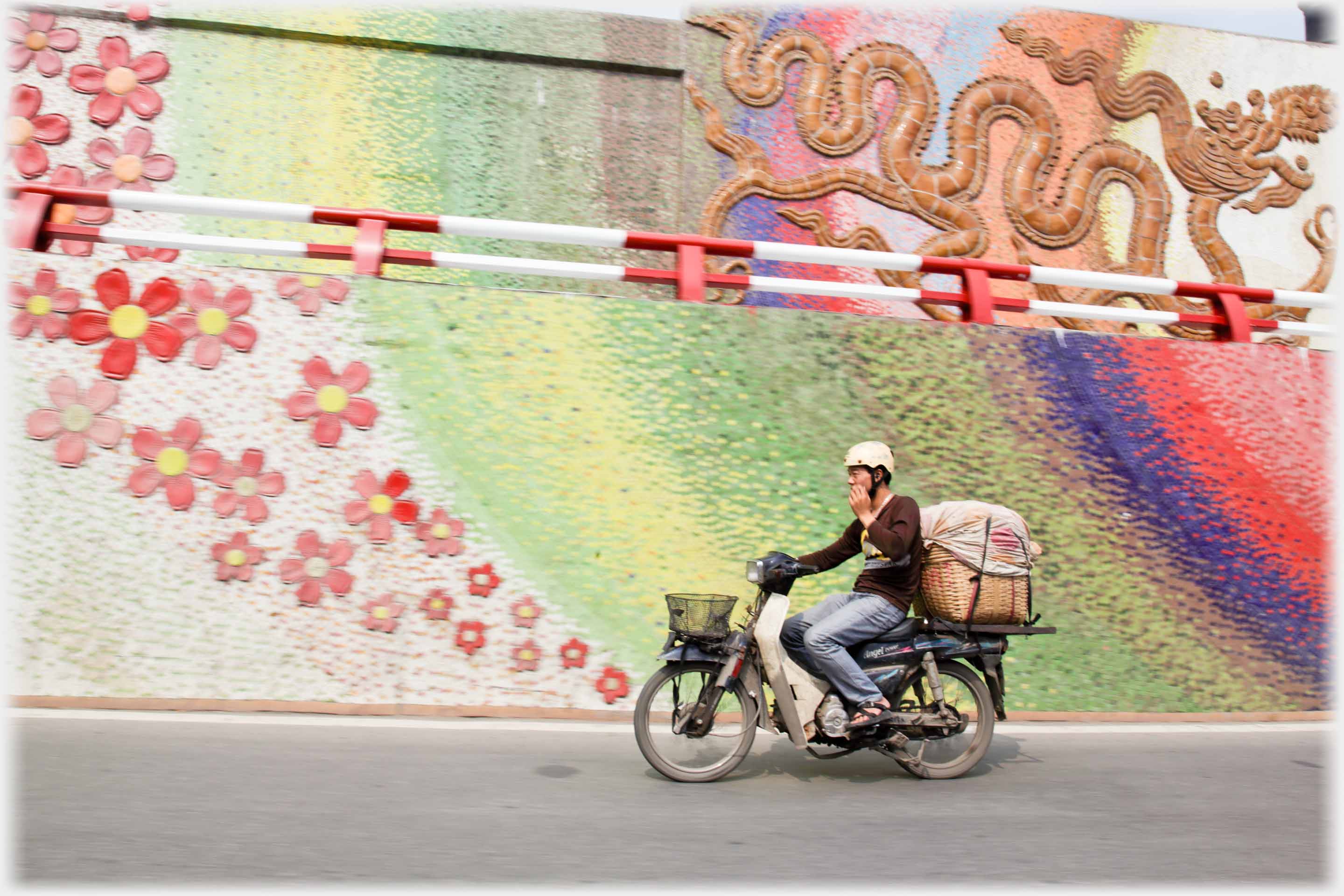 Man riding motorbike with background of sweeping colours and flowe heads.