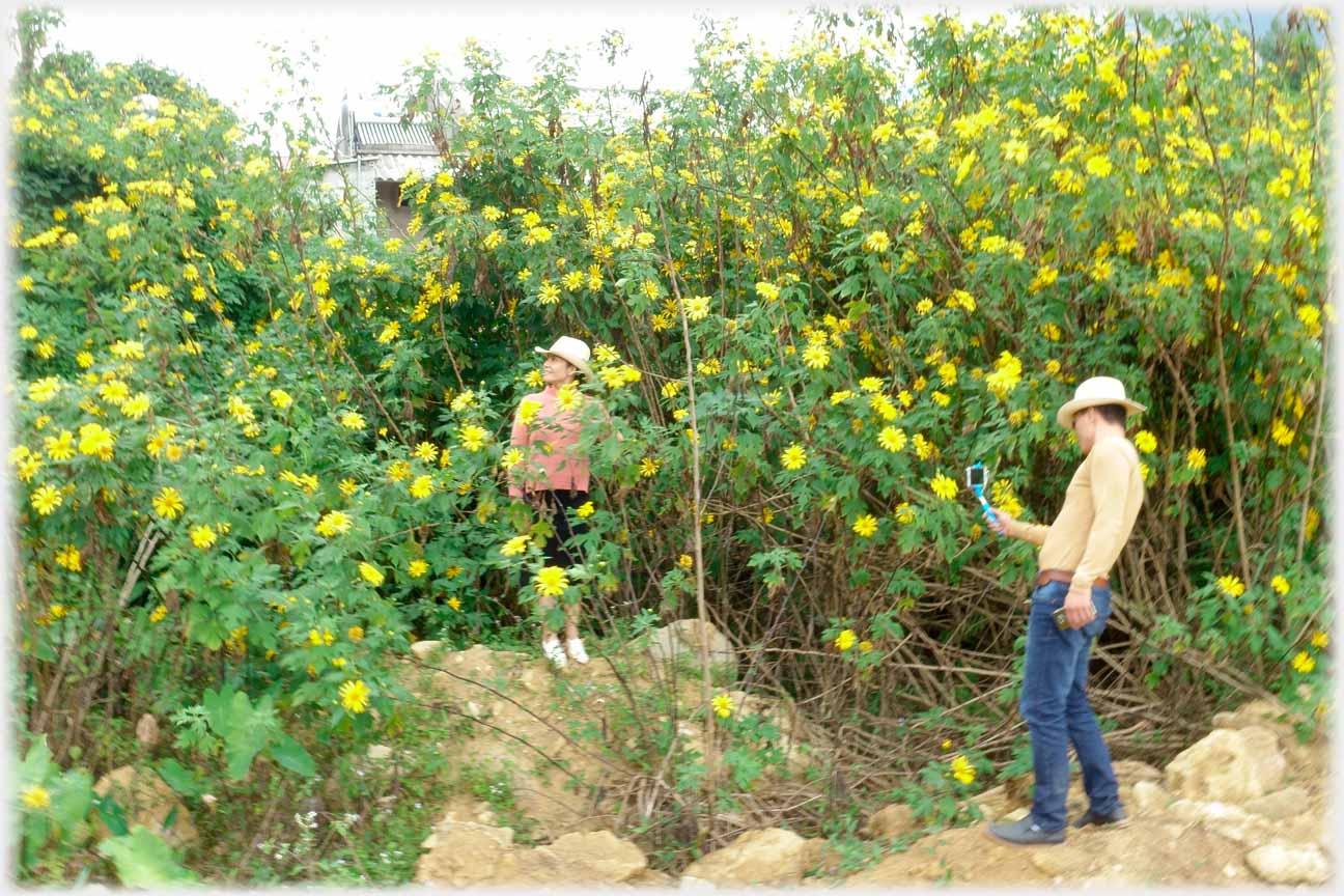 Man taking photo of woman amongst flowering plants.