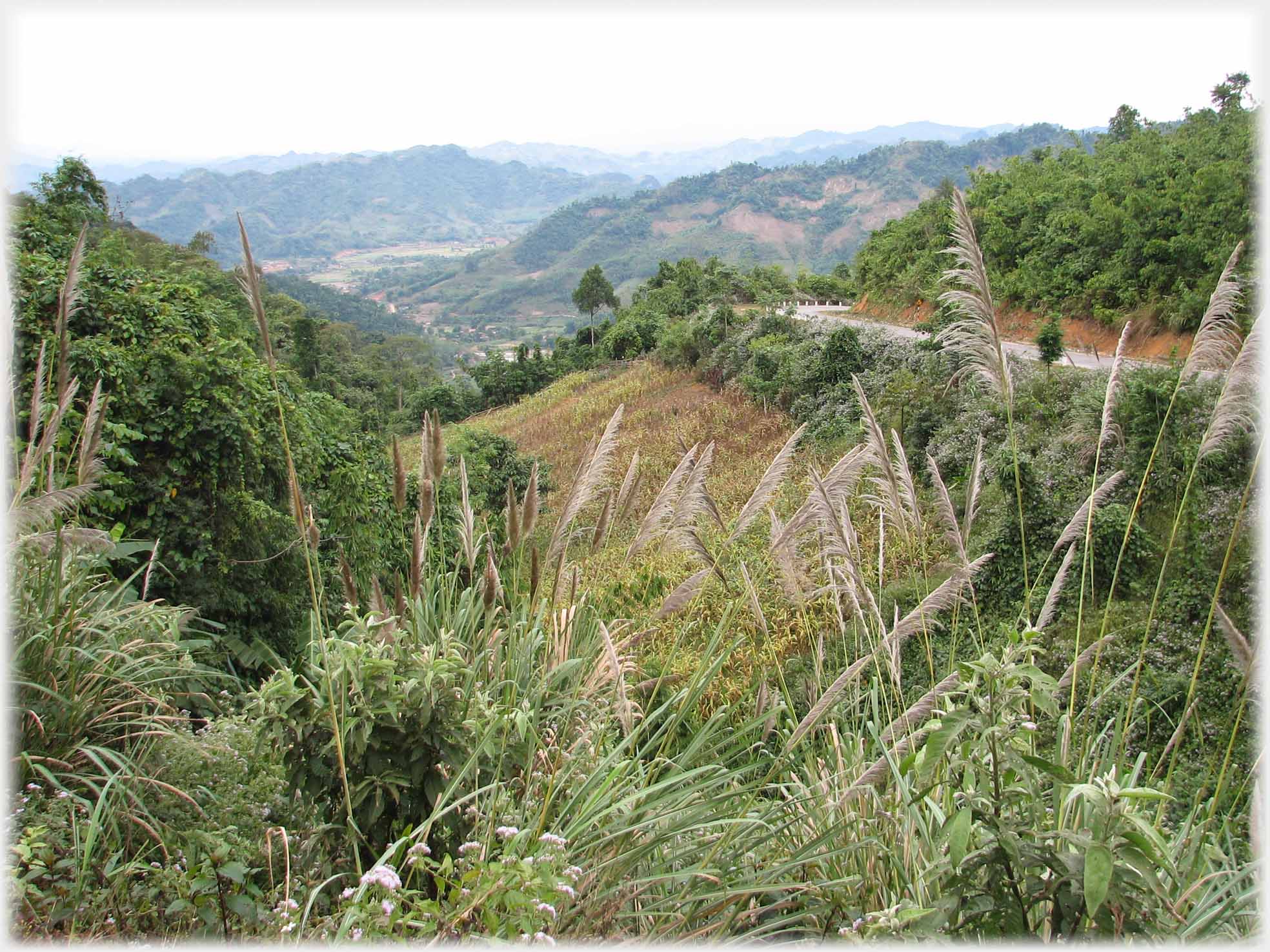 Looking down a semi-treed valley with road to one side.