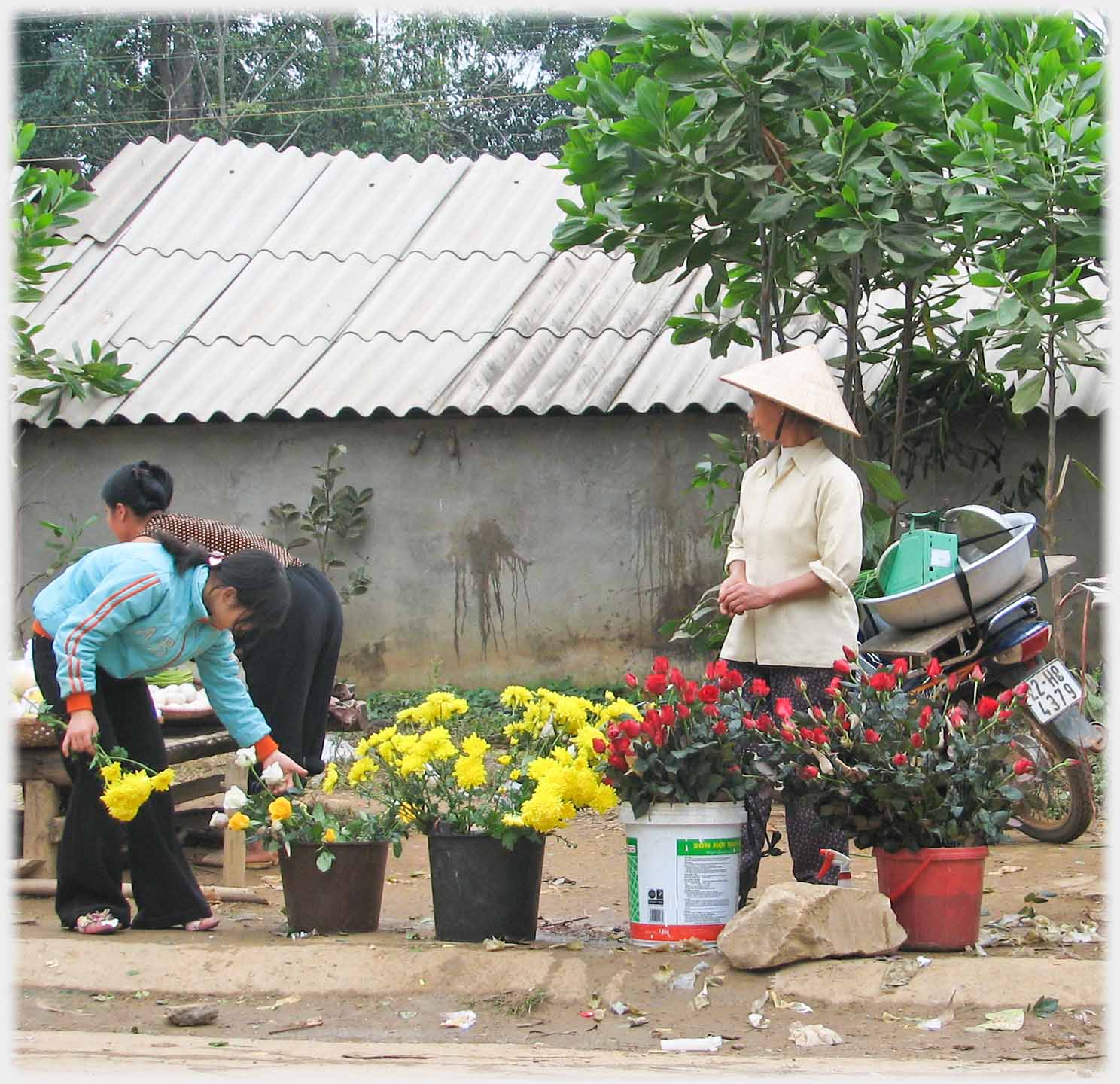 Two women with line of tubs filled with flowers.