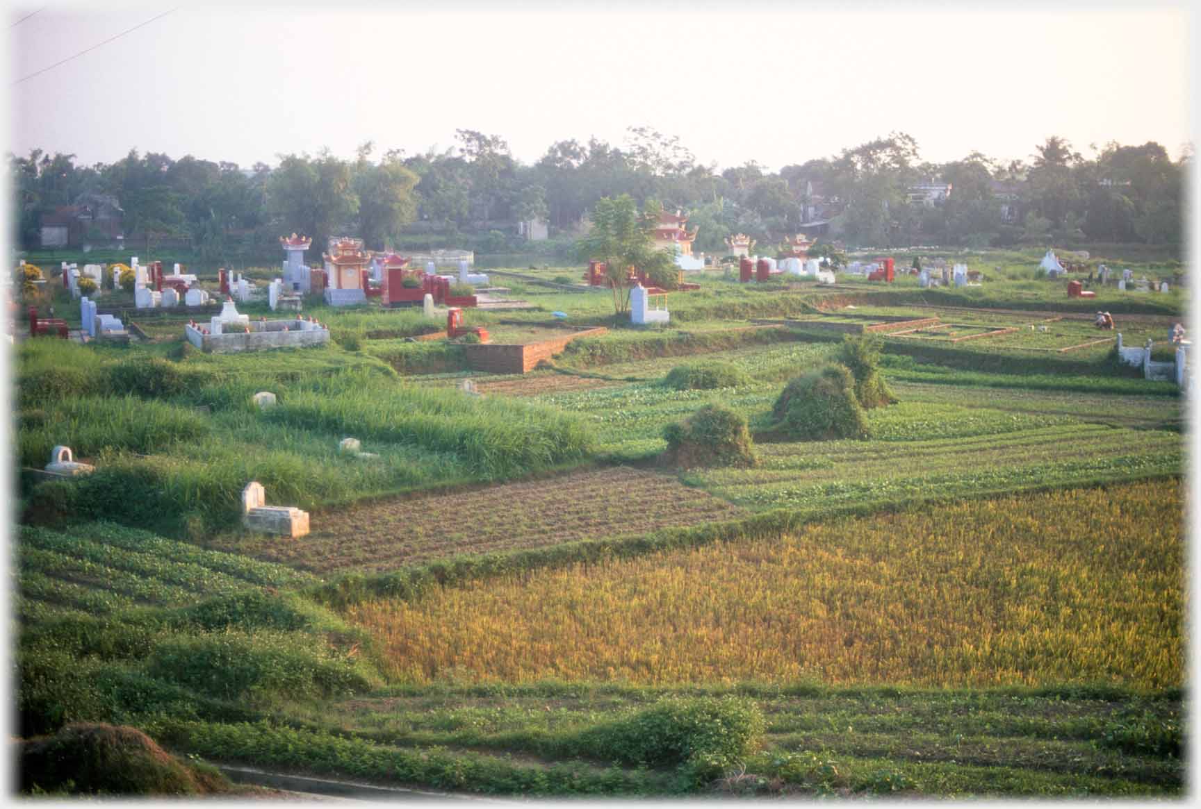 Fields with some graves.