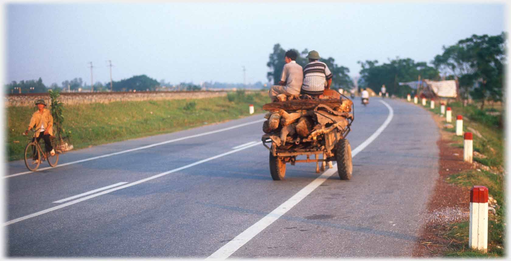 Rear view of horse and cart, lone pedal cyclist with tree on pannier.