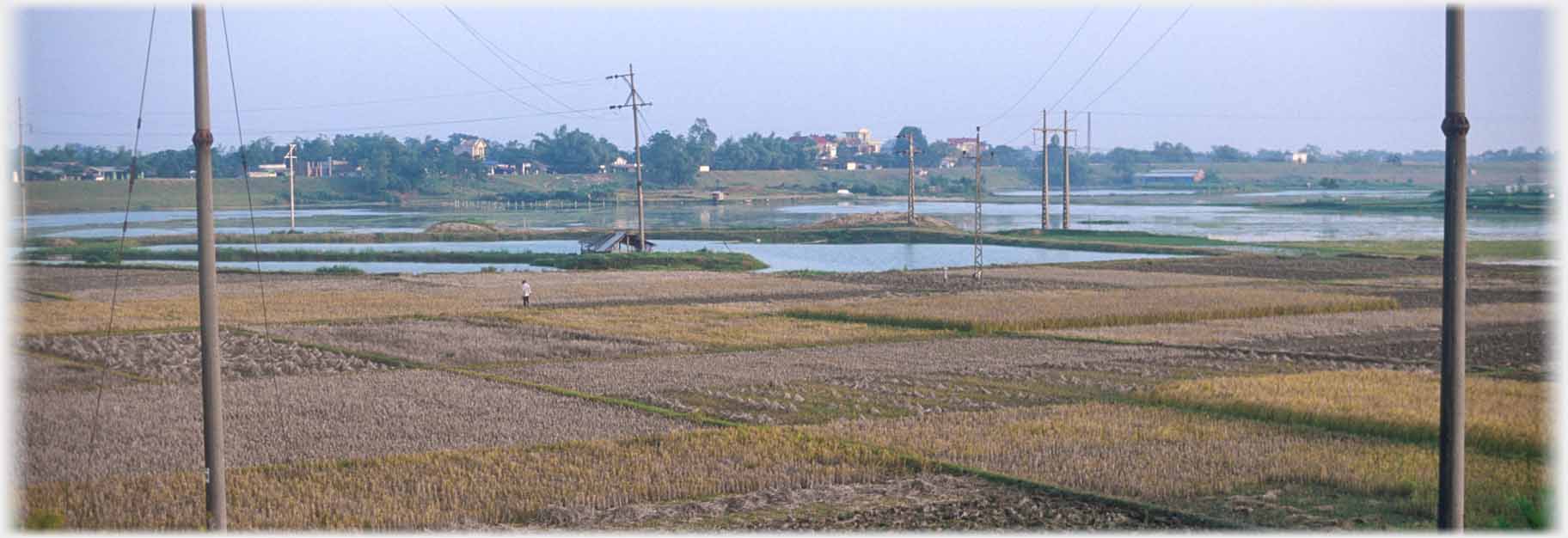 Fields of stubble some flooded, houses beyond.