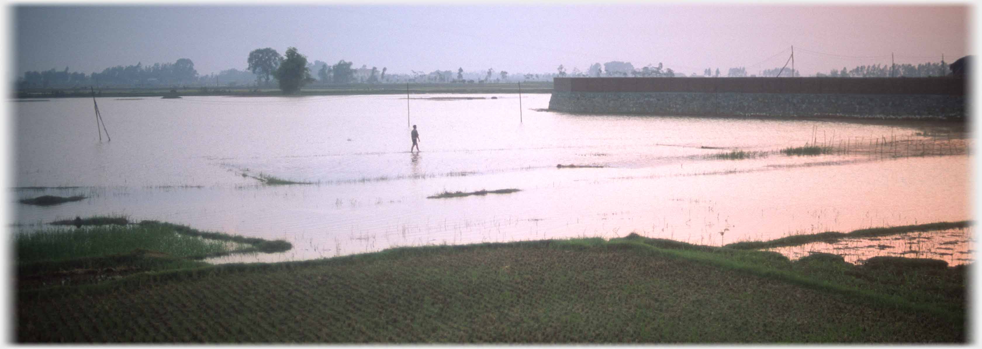 Figure walking across flooded fields.